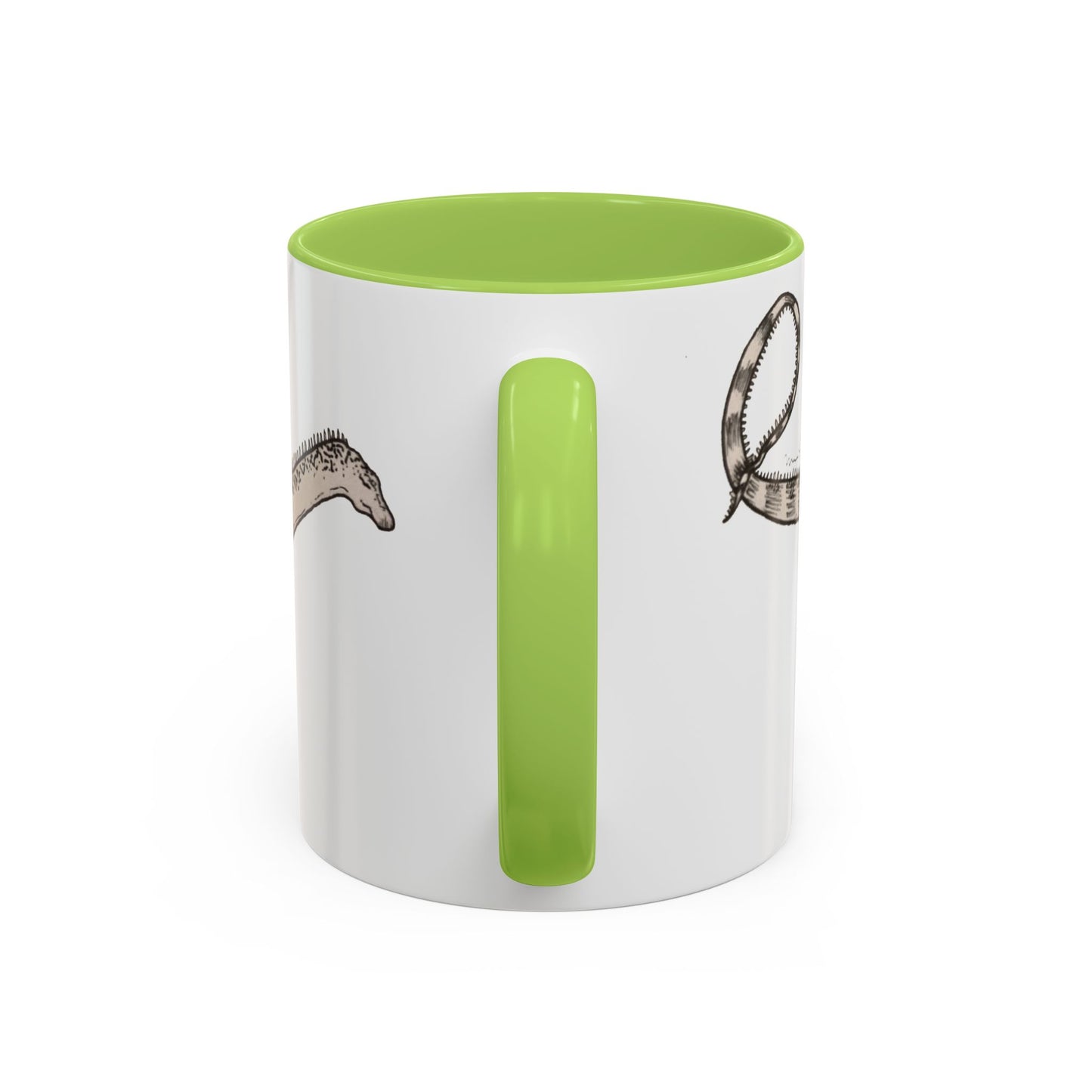 "Diplodocus Carnegii" Accent Mug