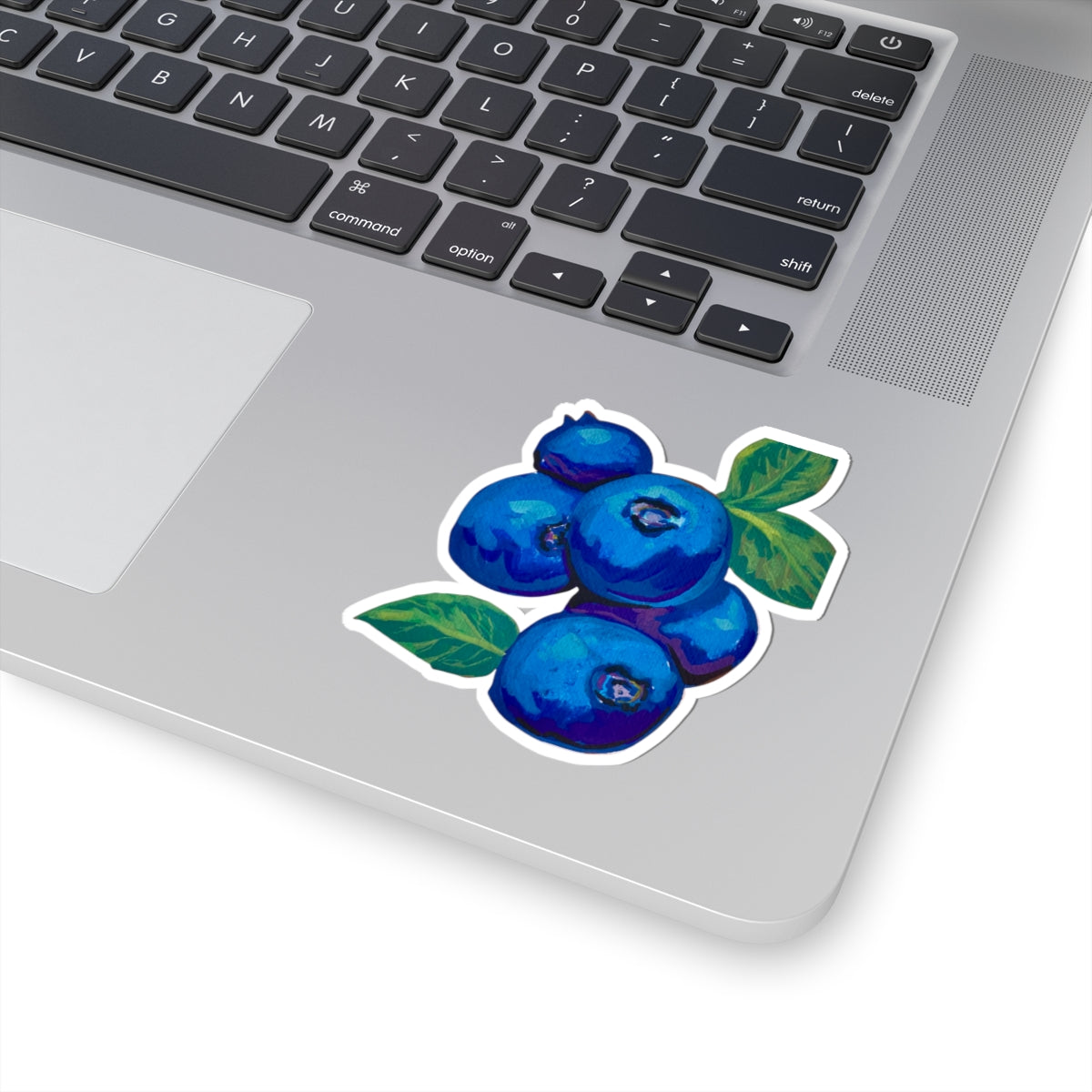 "Blueberries" Sticker