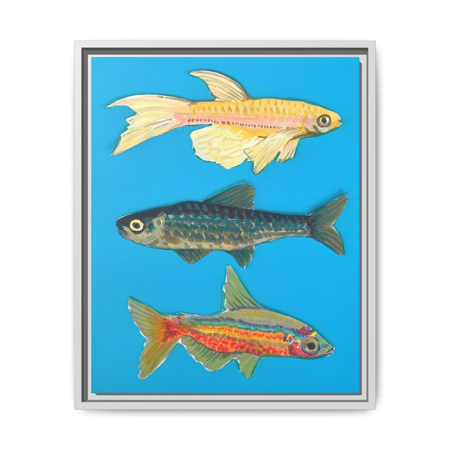 "Fish Trio" Framed Canvas Print