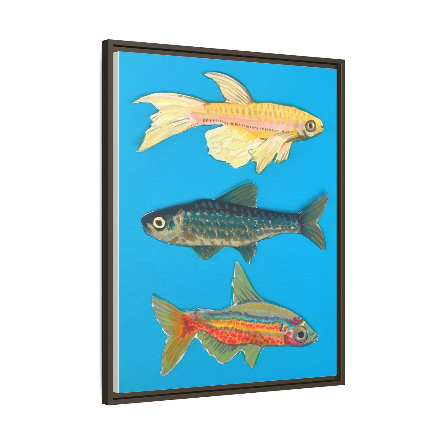 "Fish Trio" Framed Canvas Print