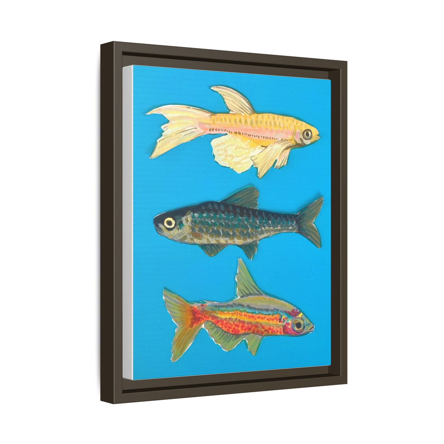 "Fish Trio" Framed Canvas Print