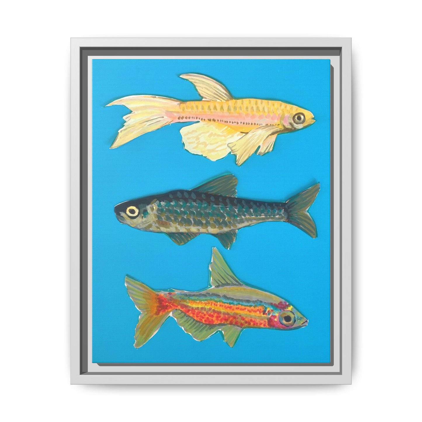 "Fish Trio" Framed Canvas Print