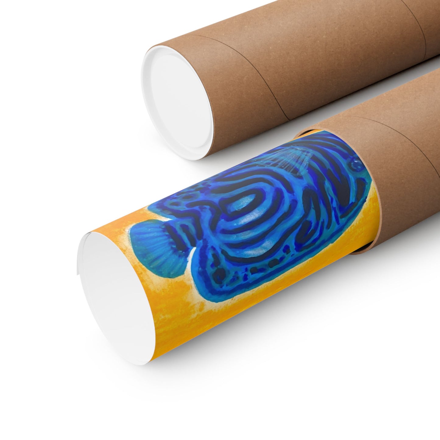 "Fish Duo" Poster Print