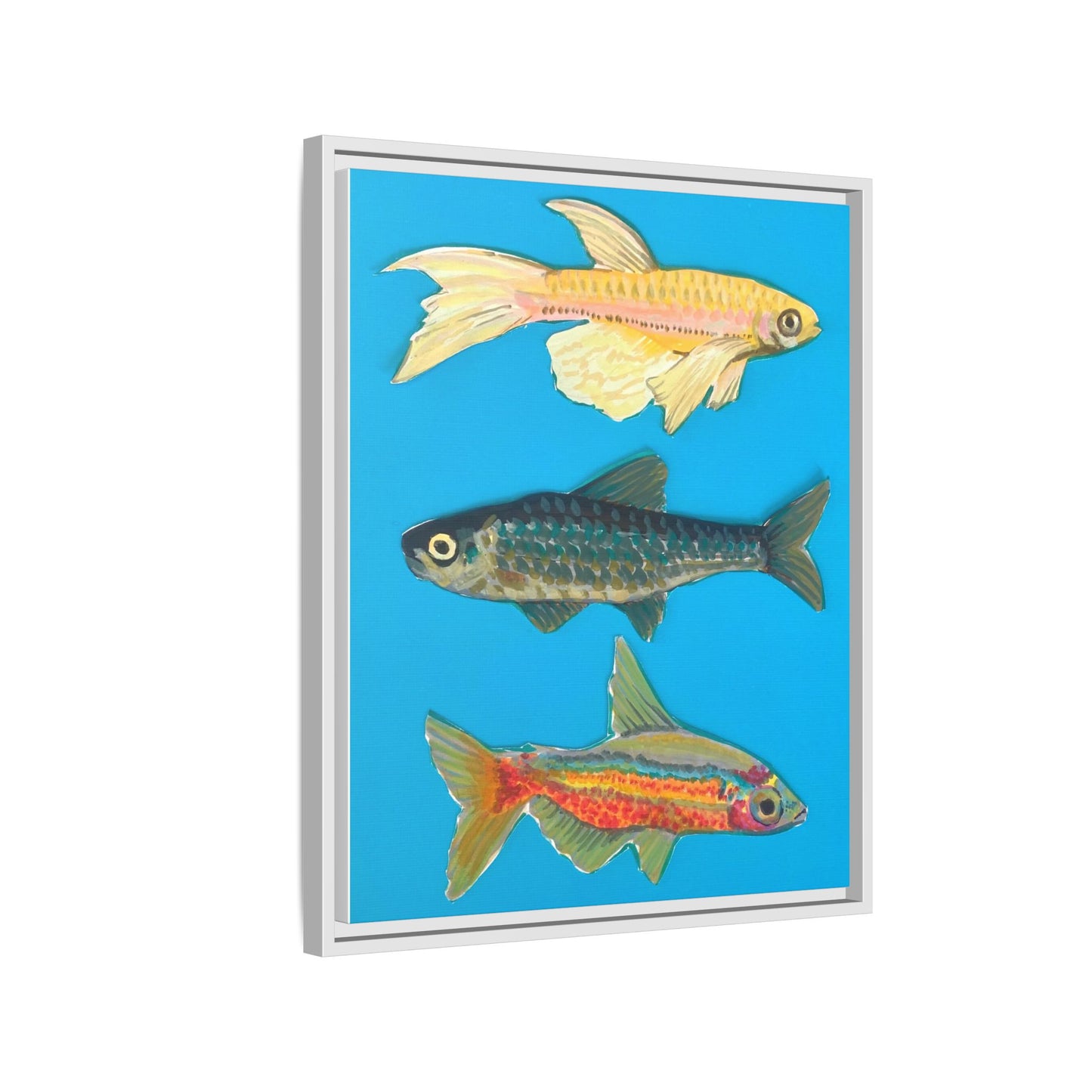 "Fish Trio" Framed Canvas Print