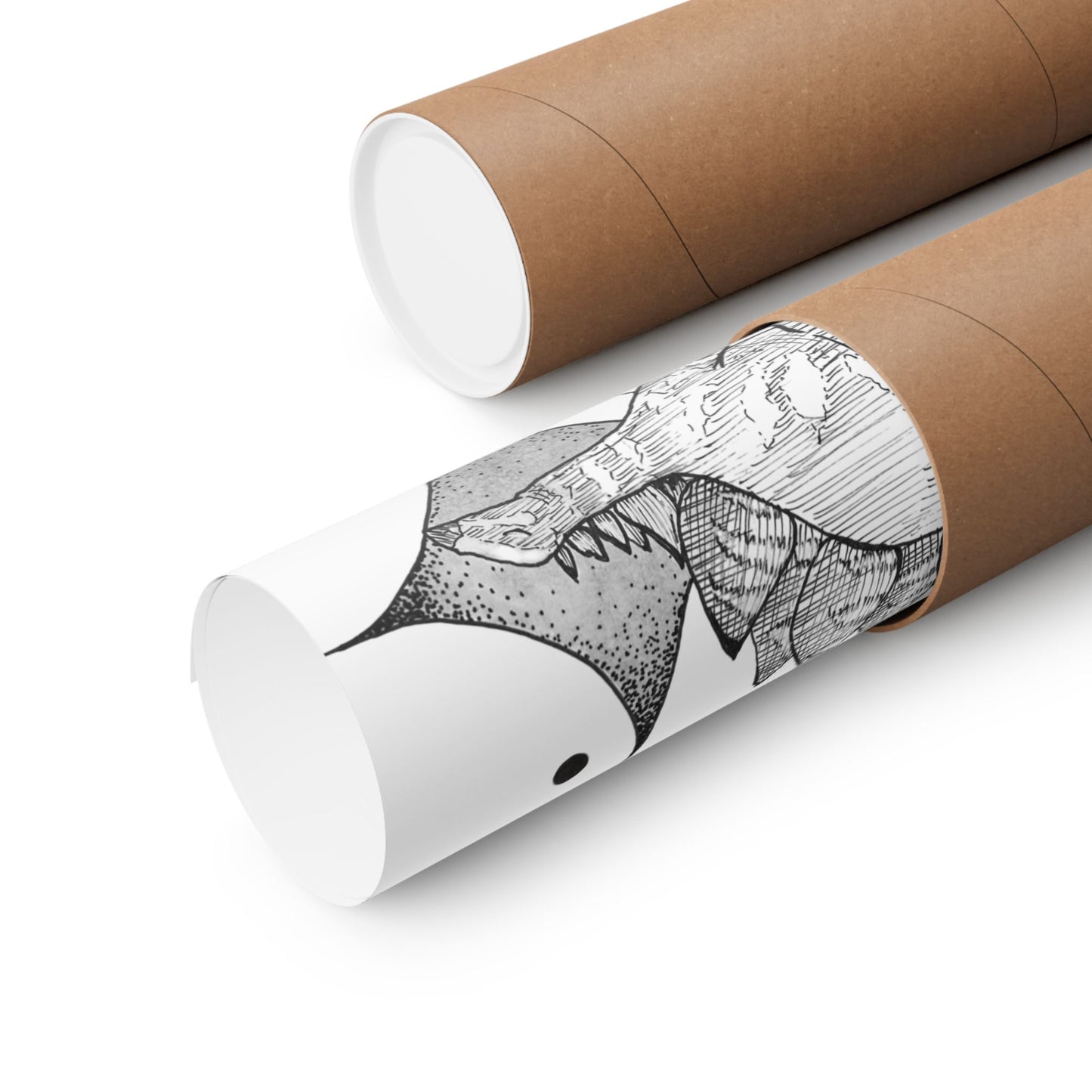 "Stegosaurus Ungulatus" Poster Print