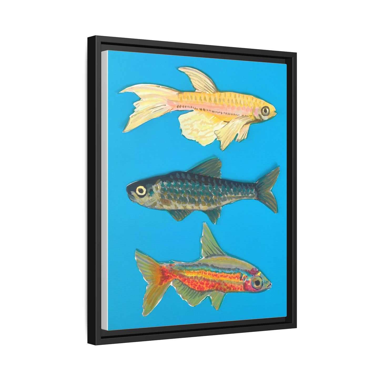 "Fish Trio" Framed Canvas Print