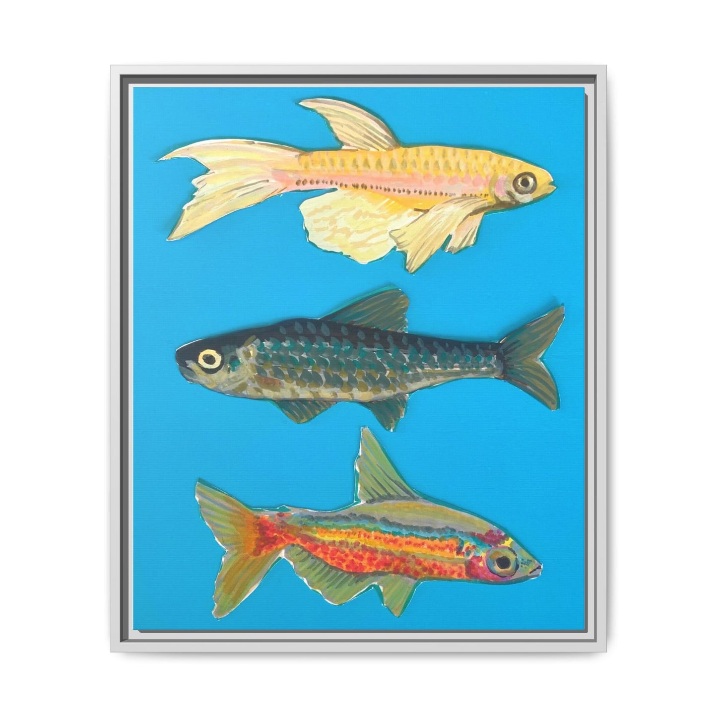 "Fish Trio" Framed Canvas Print