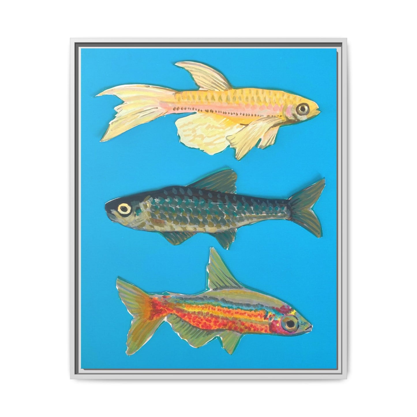 "Fish Trio" Framed Canvas Print