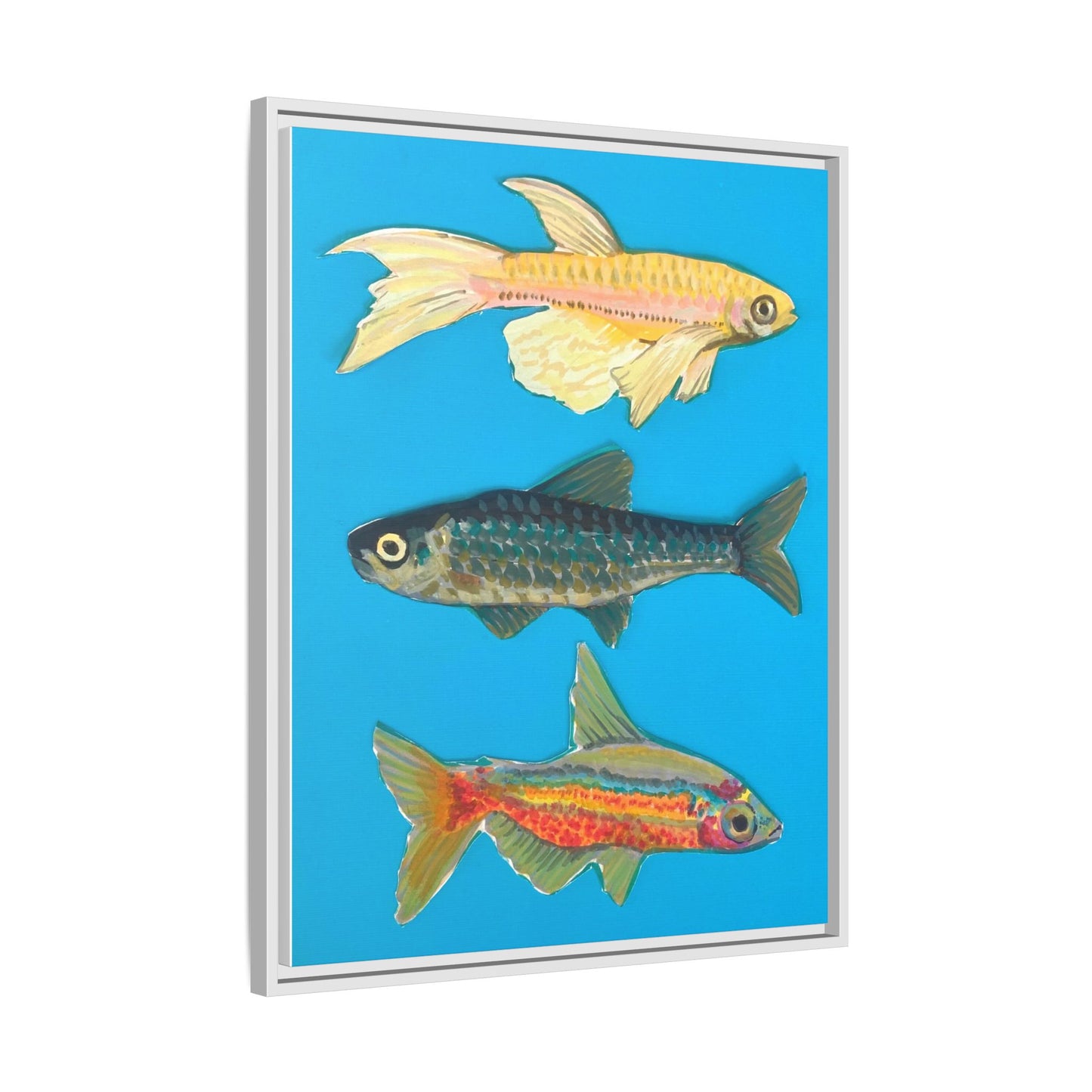 "Fish Trio" Framed Canvas Print