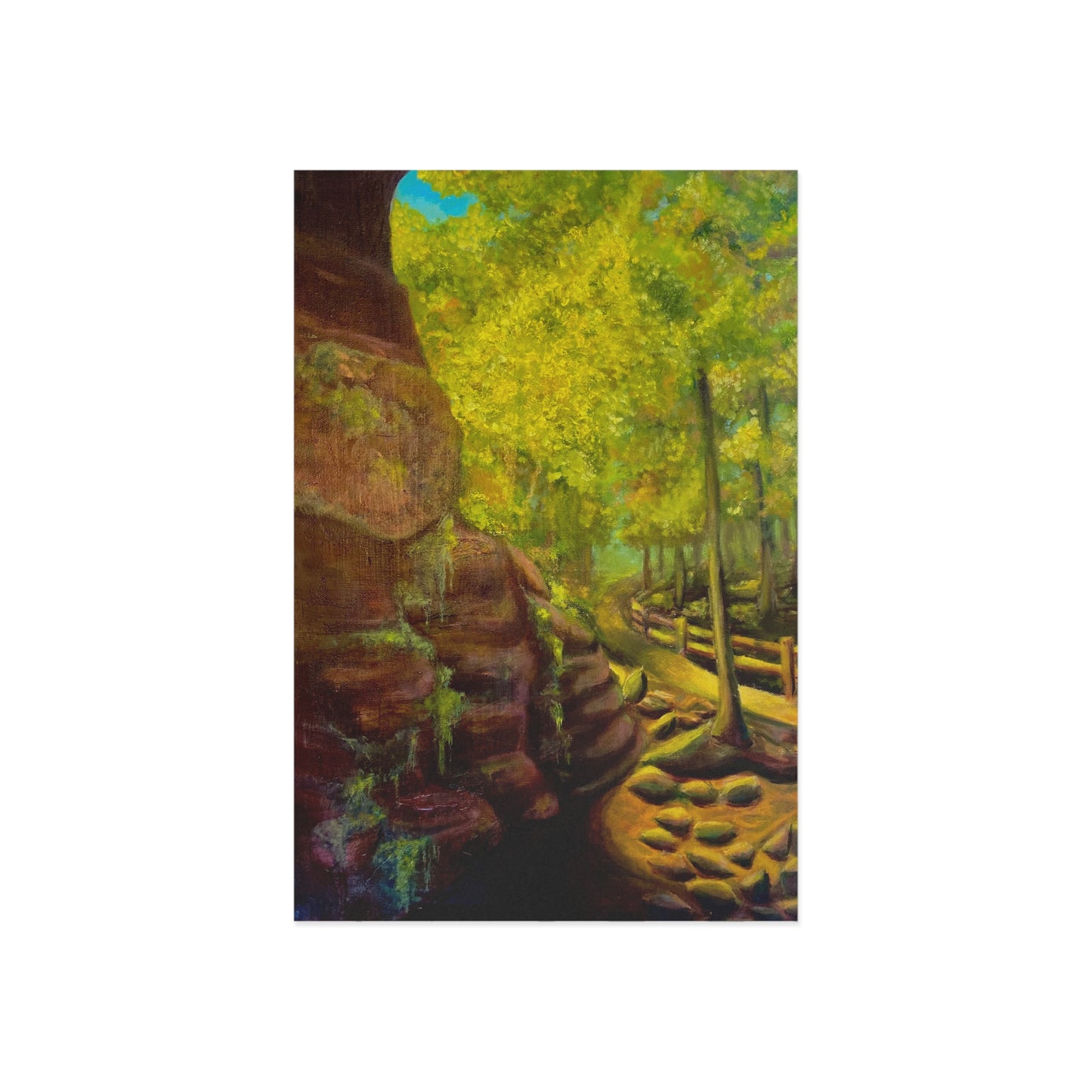 "From the garden of the gods" Postcard