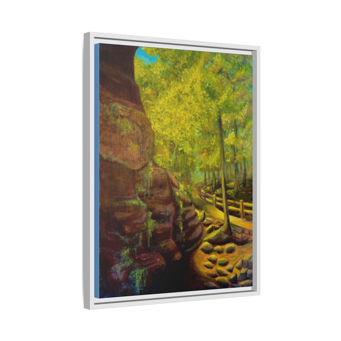 Framed Matte Canvas Print - From the garden of the gods