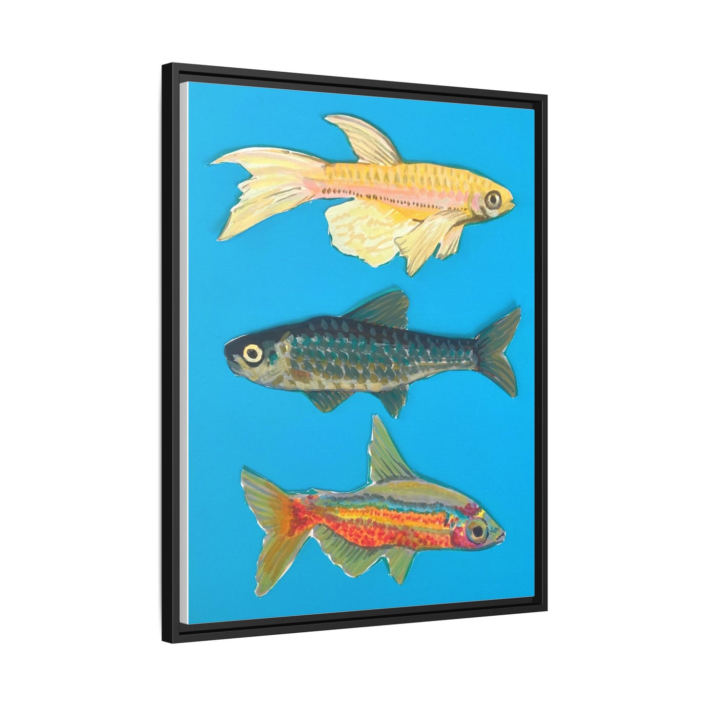 "Fish Trio" Framed Canvas Print