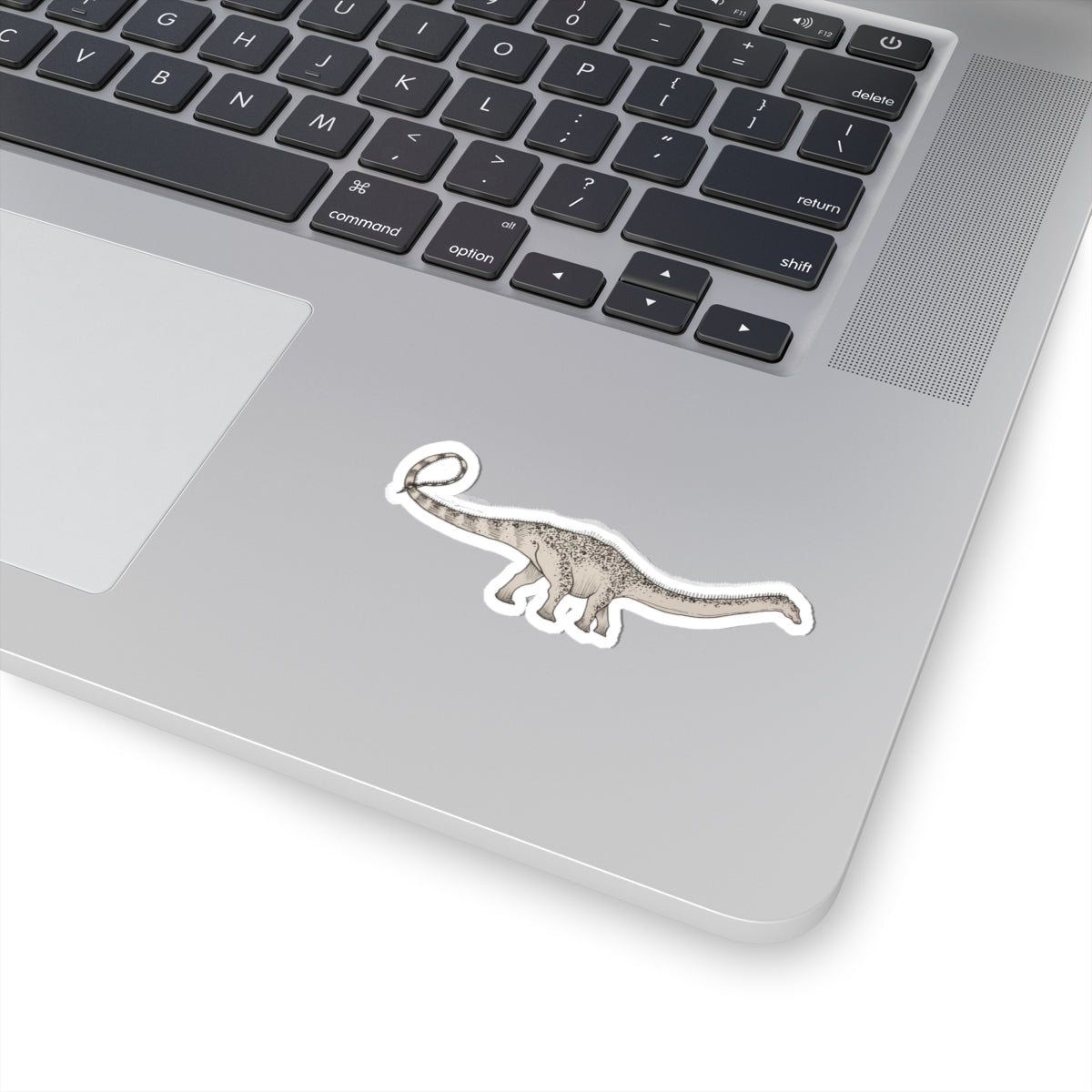 "Diplodocus Carnegie" Sticker