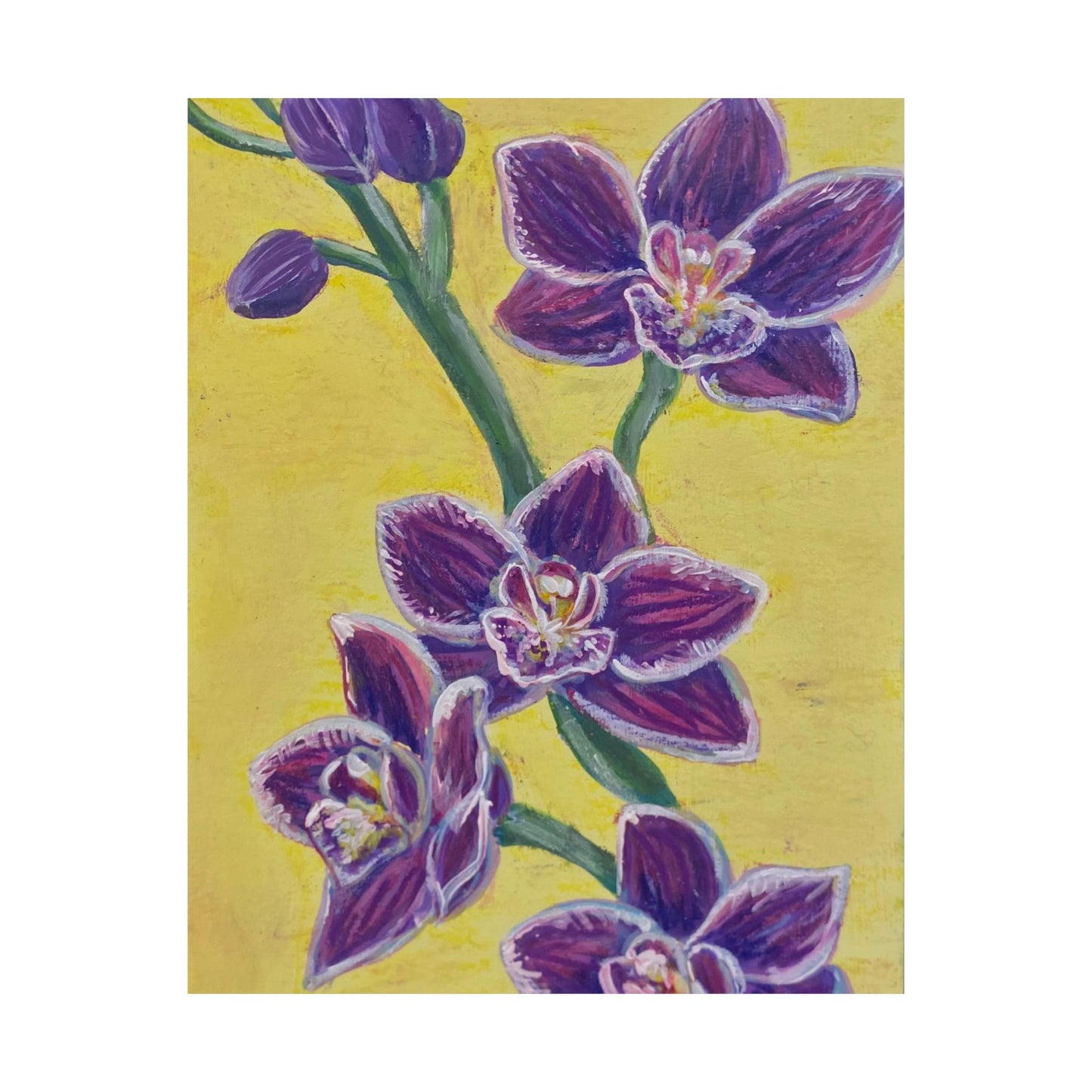 "Orchids" Poster Print