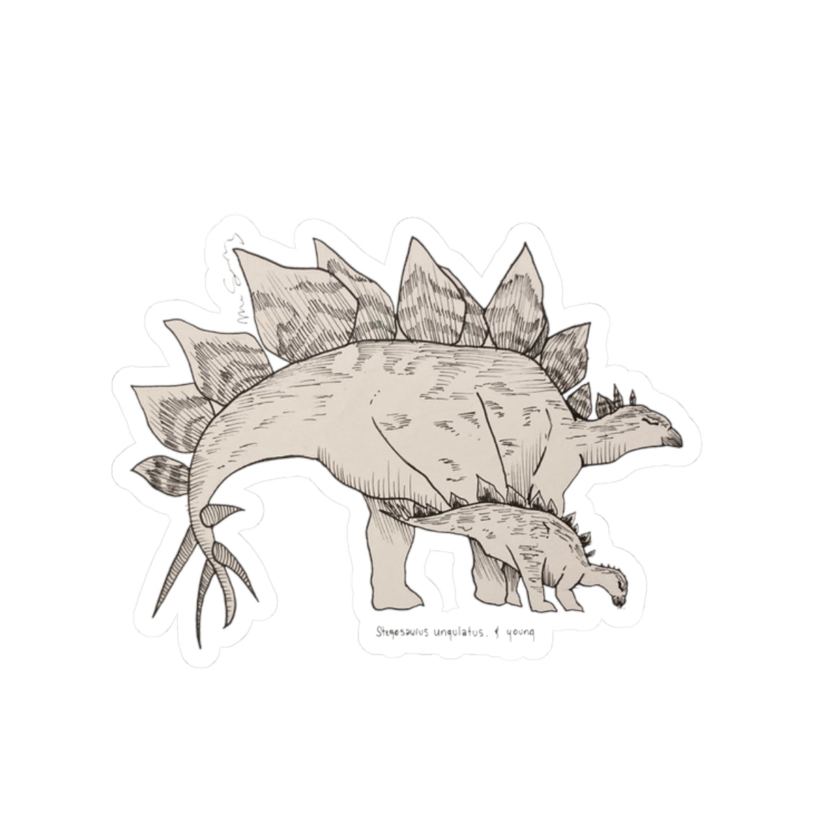 "Stegosaurus Ungulatus & Young" Sticker