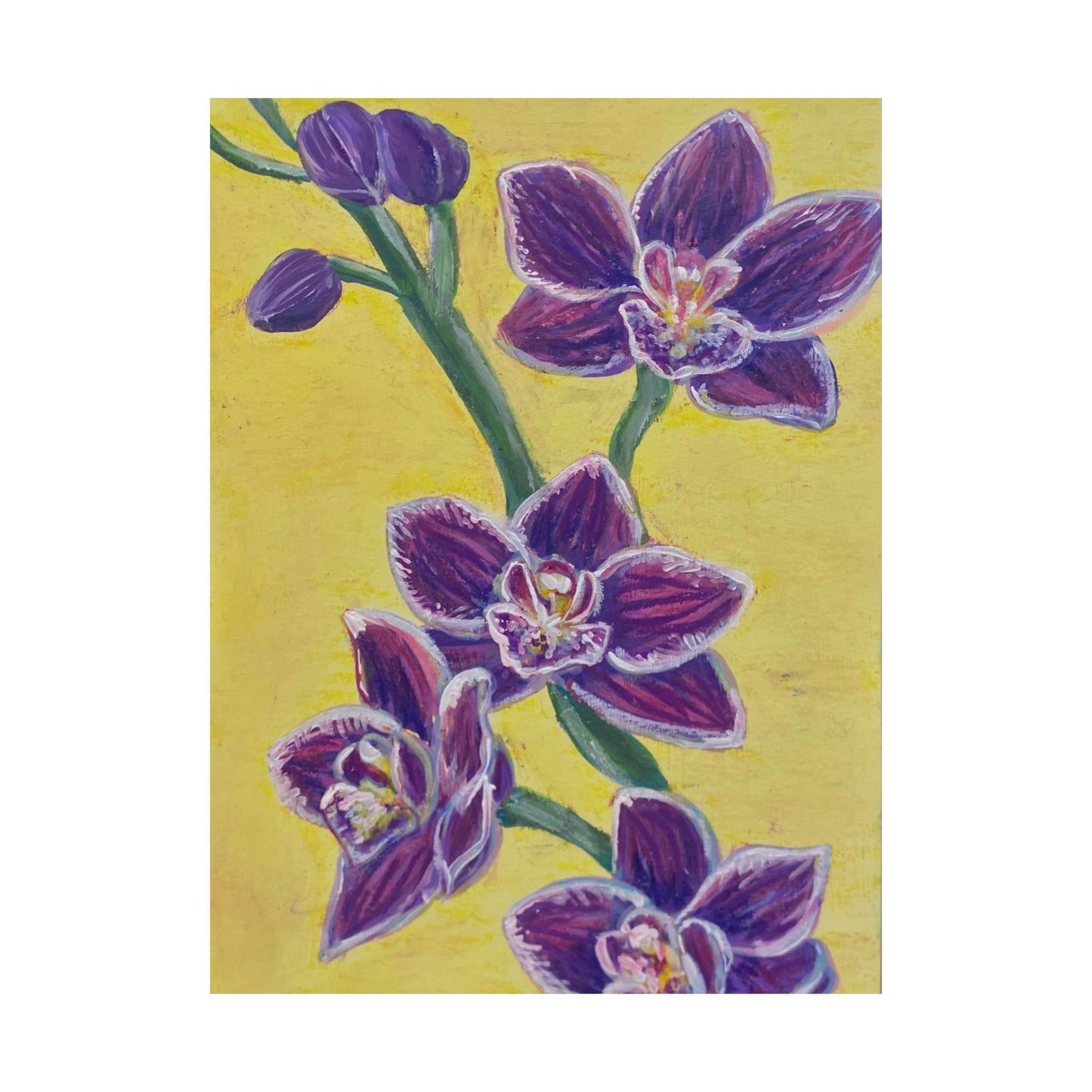 "Orchids" Poster Print