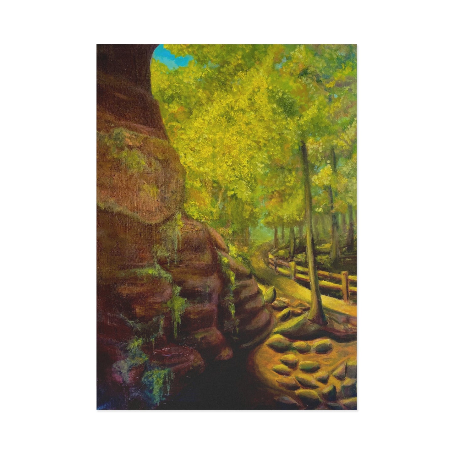 "From the garden of the gods" Postcard