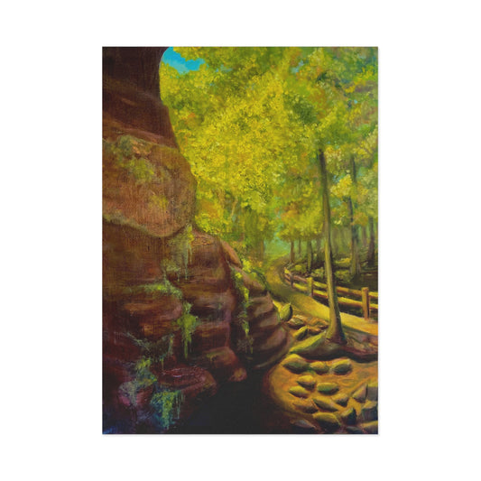 "From the garden of the gods" Postcard