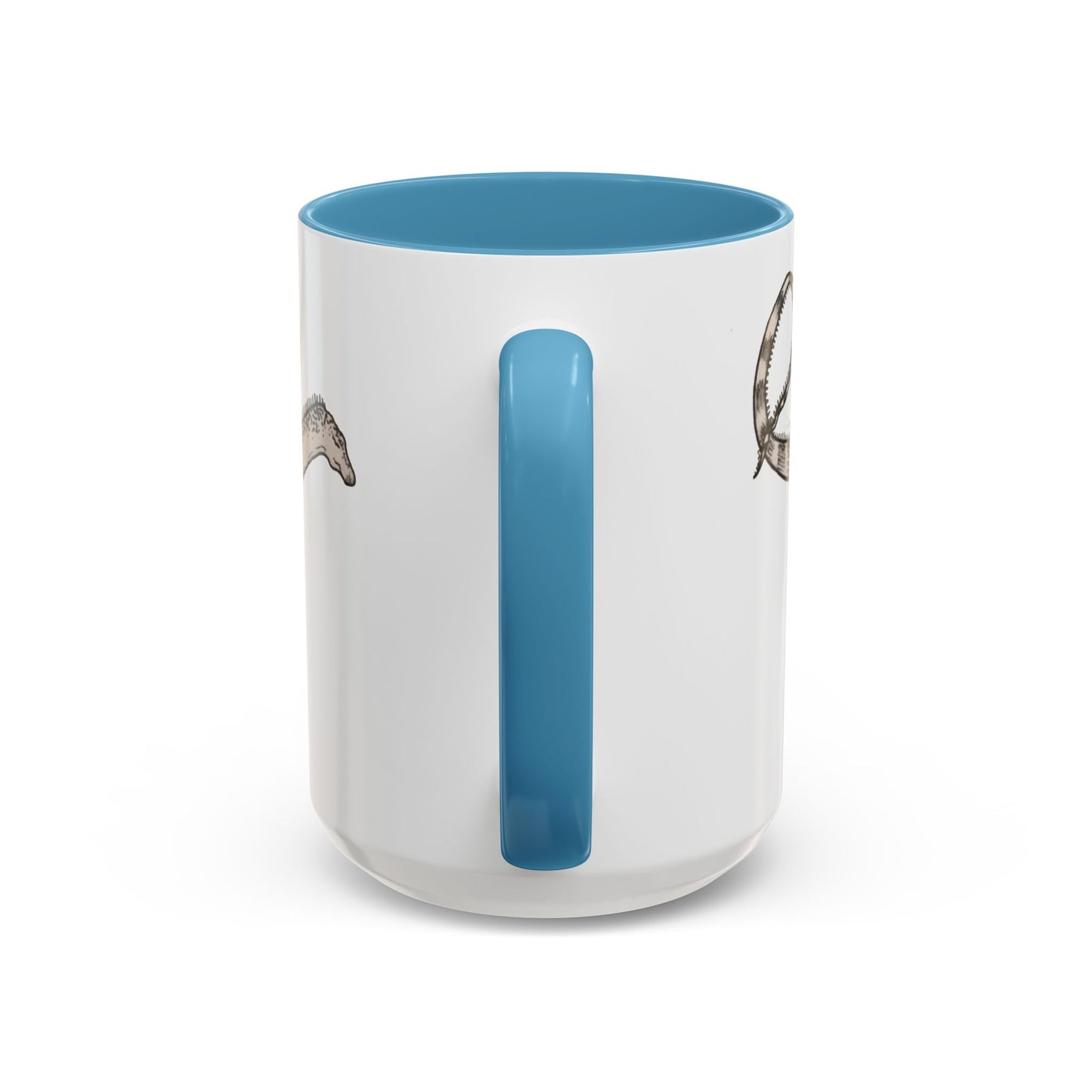 "Diplodocus Carnegii" Accent Mug