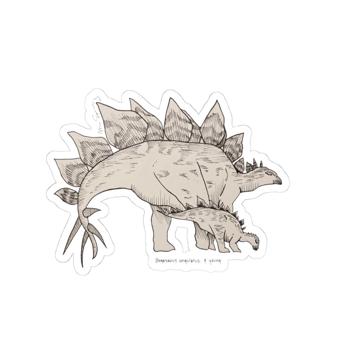 "Stegosaurus Ungulatus & Young" Sticker