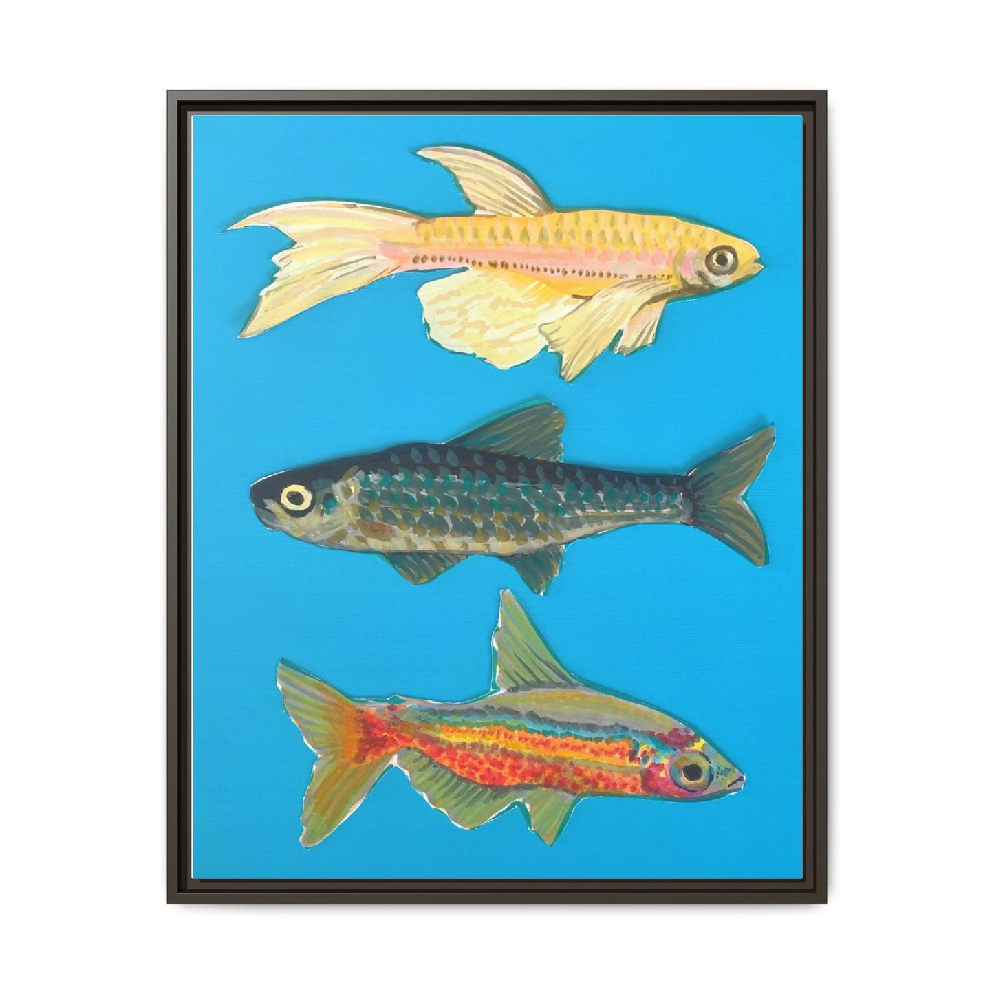 "Fish Trio" Framed Canvas Print