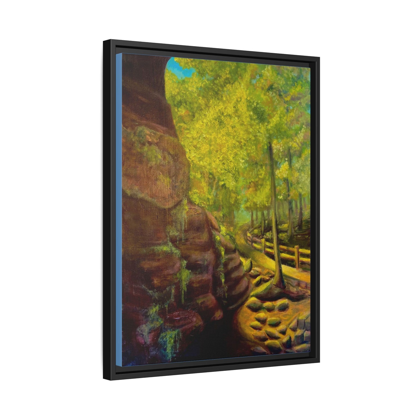 Framed Matte Canvas Print - From the garden of the gods