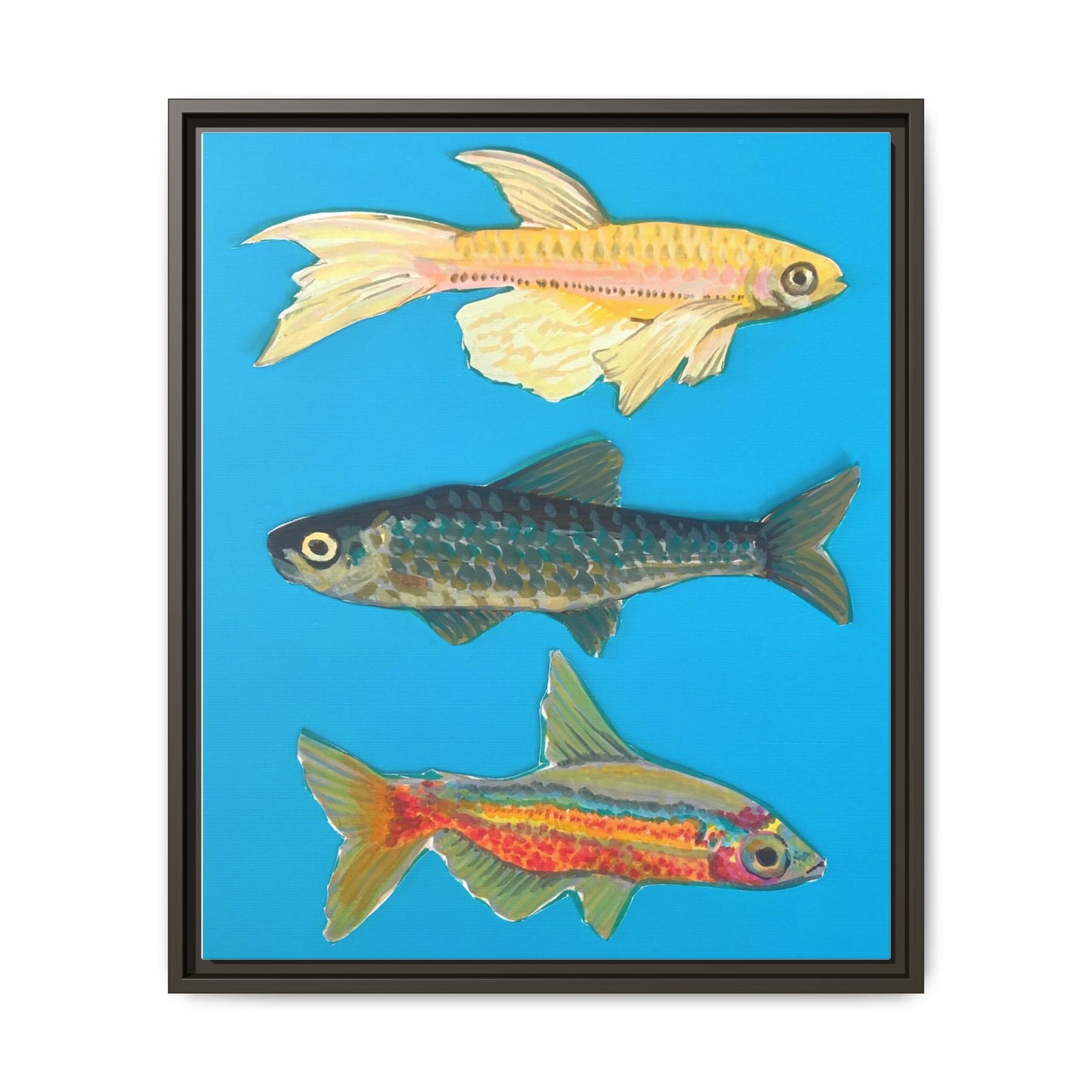 "Fish Trio" Framed Canvas Print