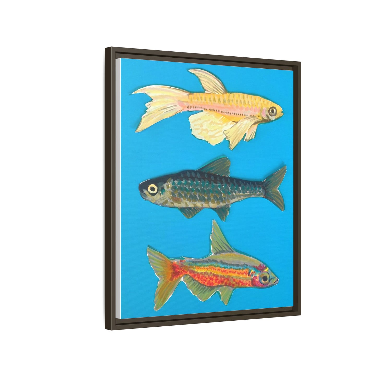 "Fish Trio" Framed Canvas Print