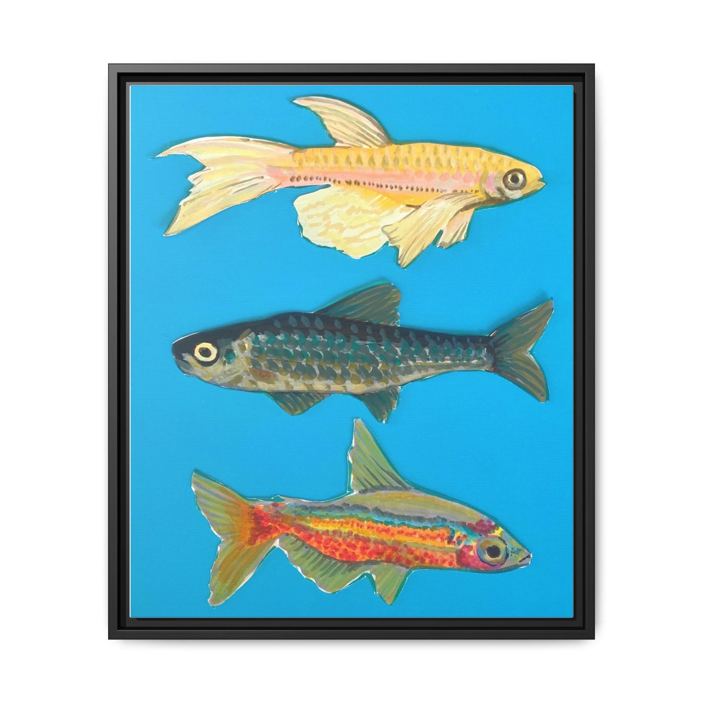 "Fish Trio" Framed Canvas Print