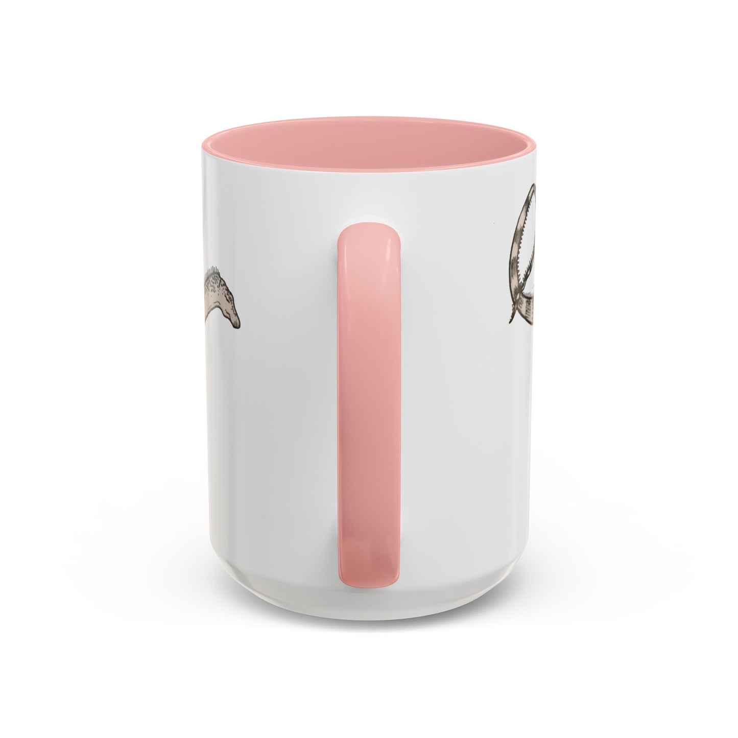 "Diplodocus Carnegii" Accent Mug