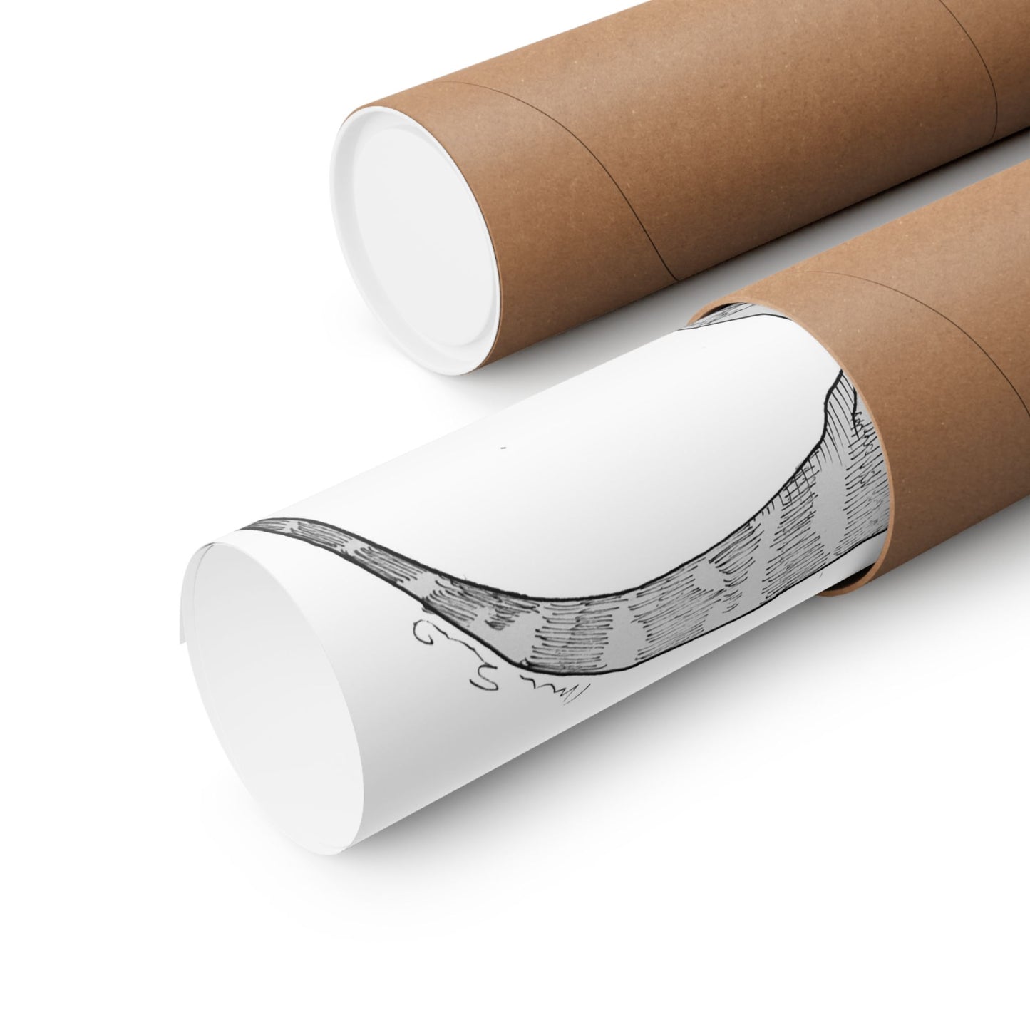 "Infant Carnotaurus Sastrei" Poster Print