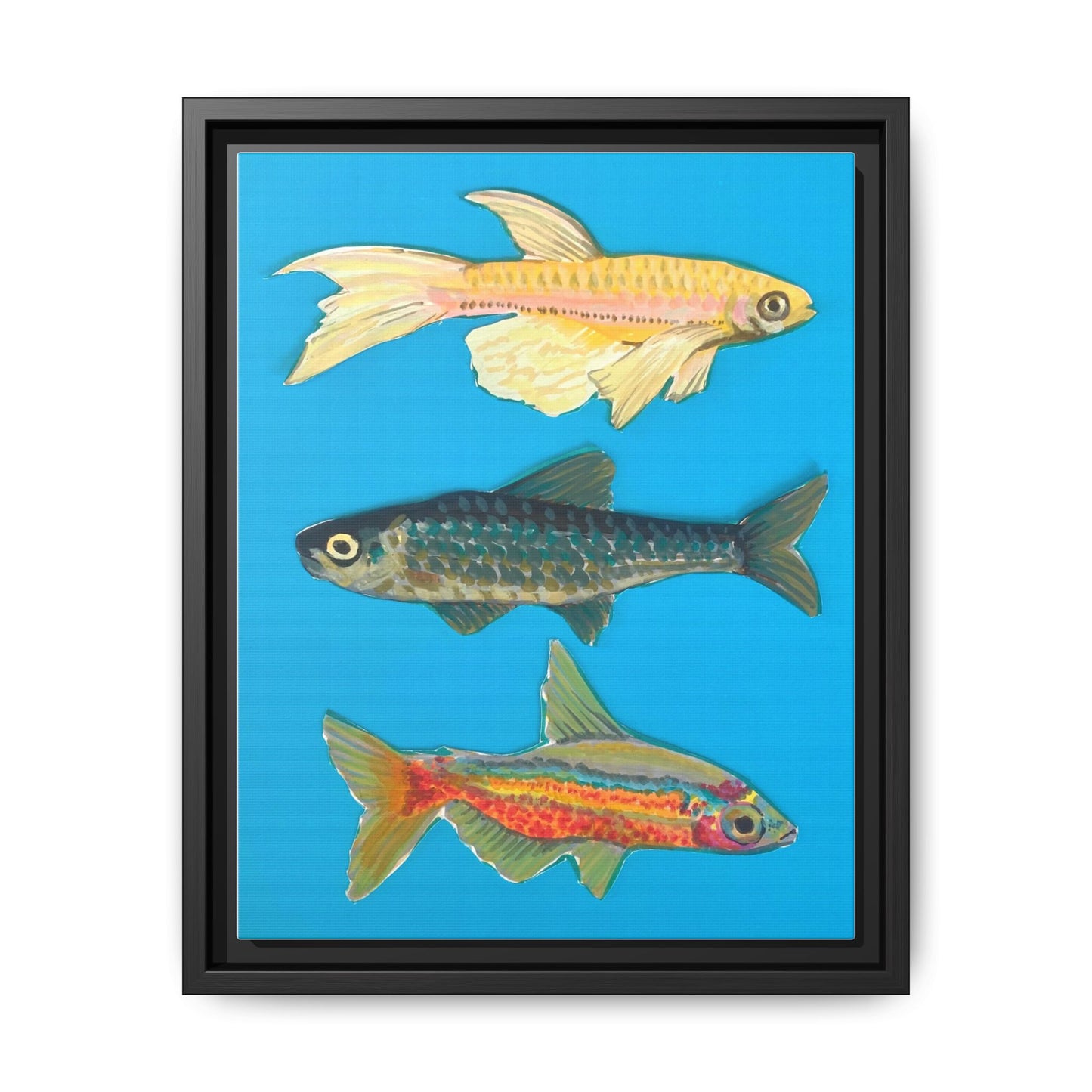 "Fish Trio" Framed Canvas Print
