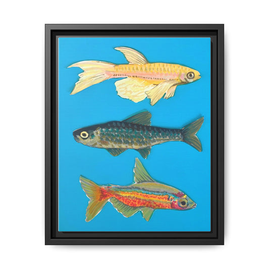 "Fish Trio" Framed Canvas Print