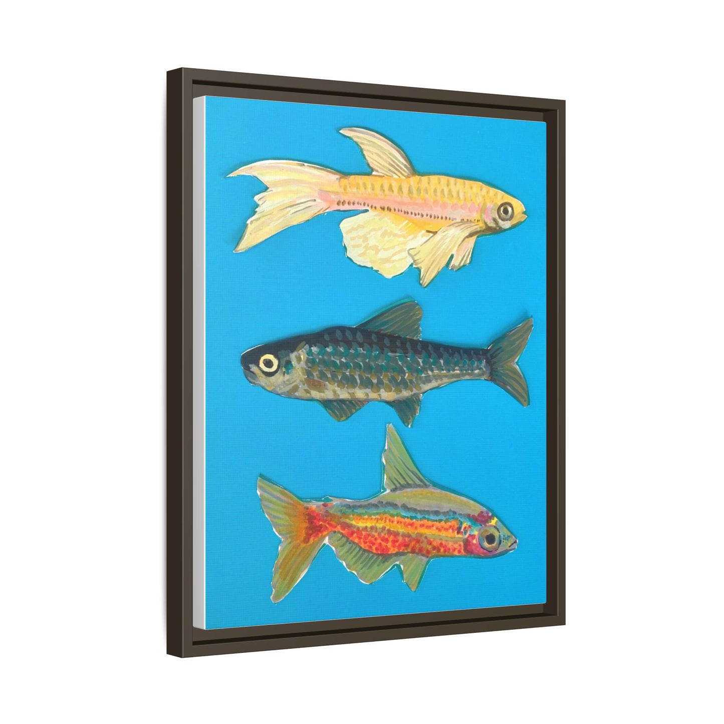"Fish Trio" Framed Canvas Print