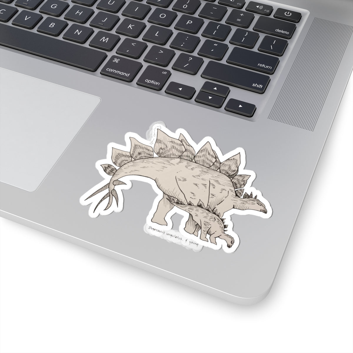 "Stegosaurus Ungulatus & Young" Sticker