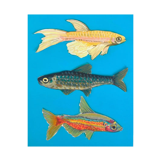 "Fish Trio" Poster Print
