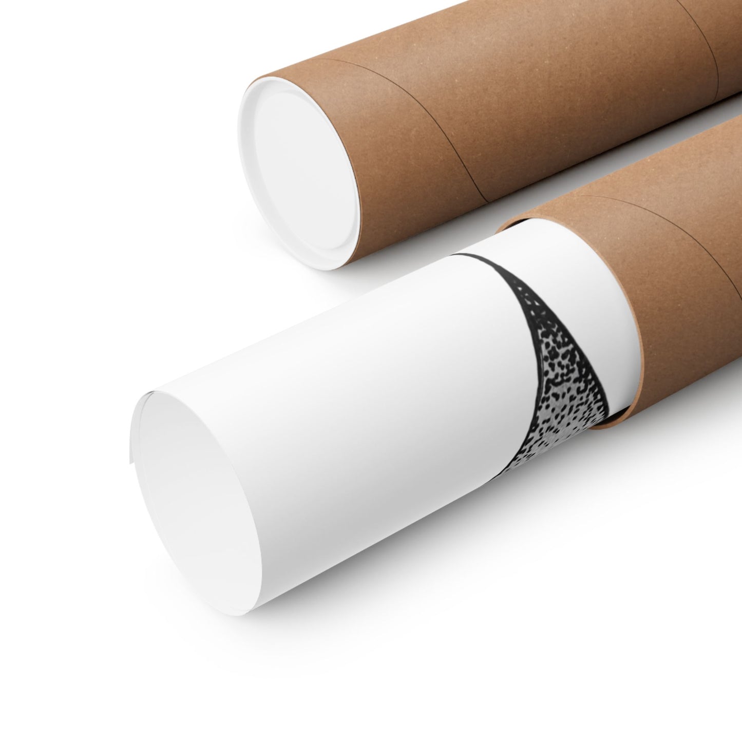 "Stegosaurus Ungulatus" Poster Print