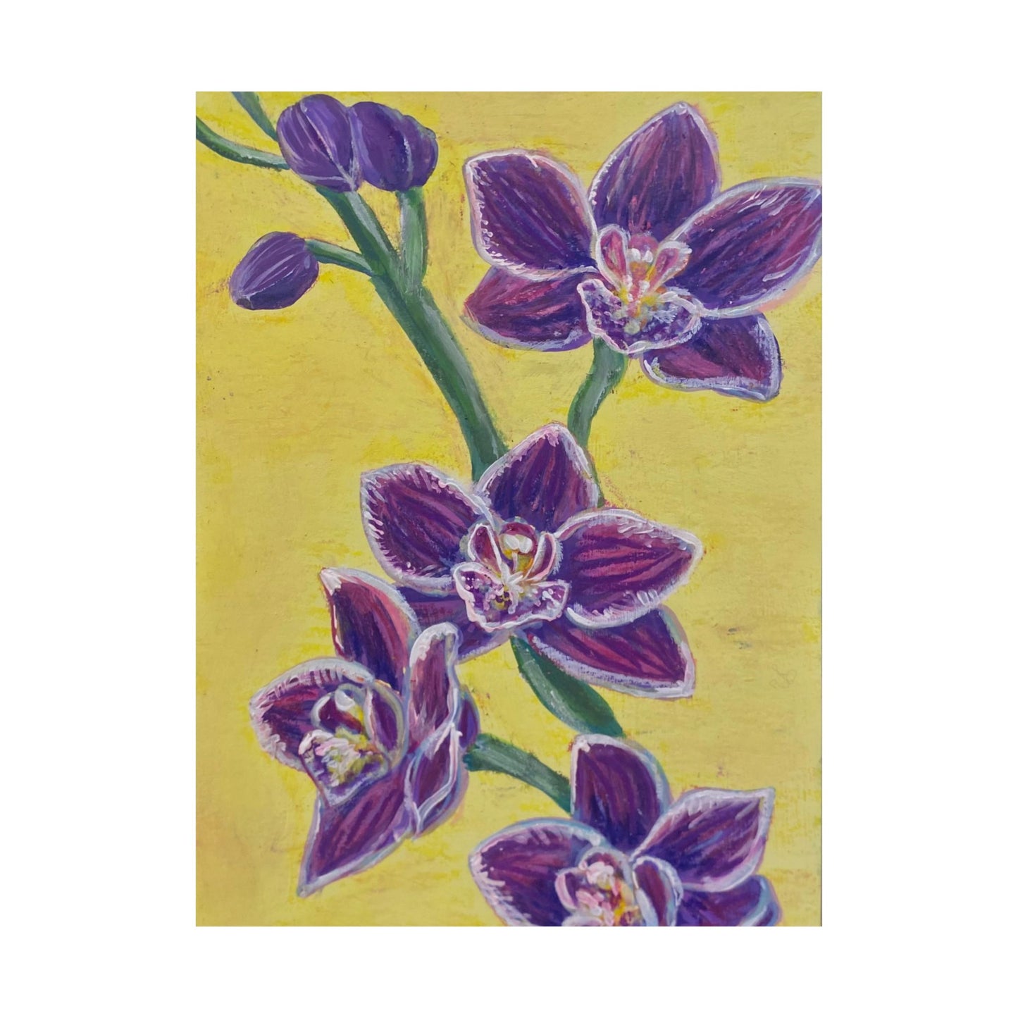 "Orchids" Poster Print