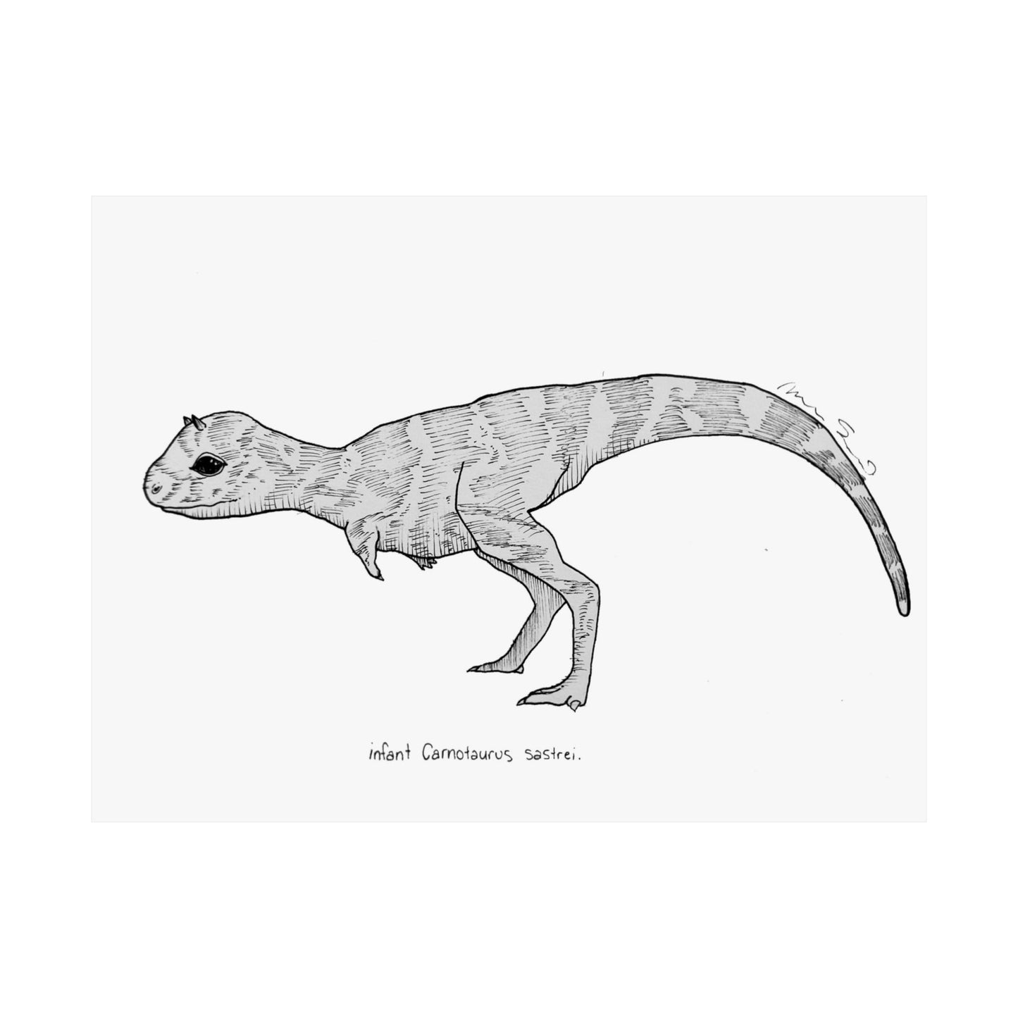 "Infant Carnotaurus Sastrei" Poster Print