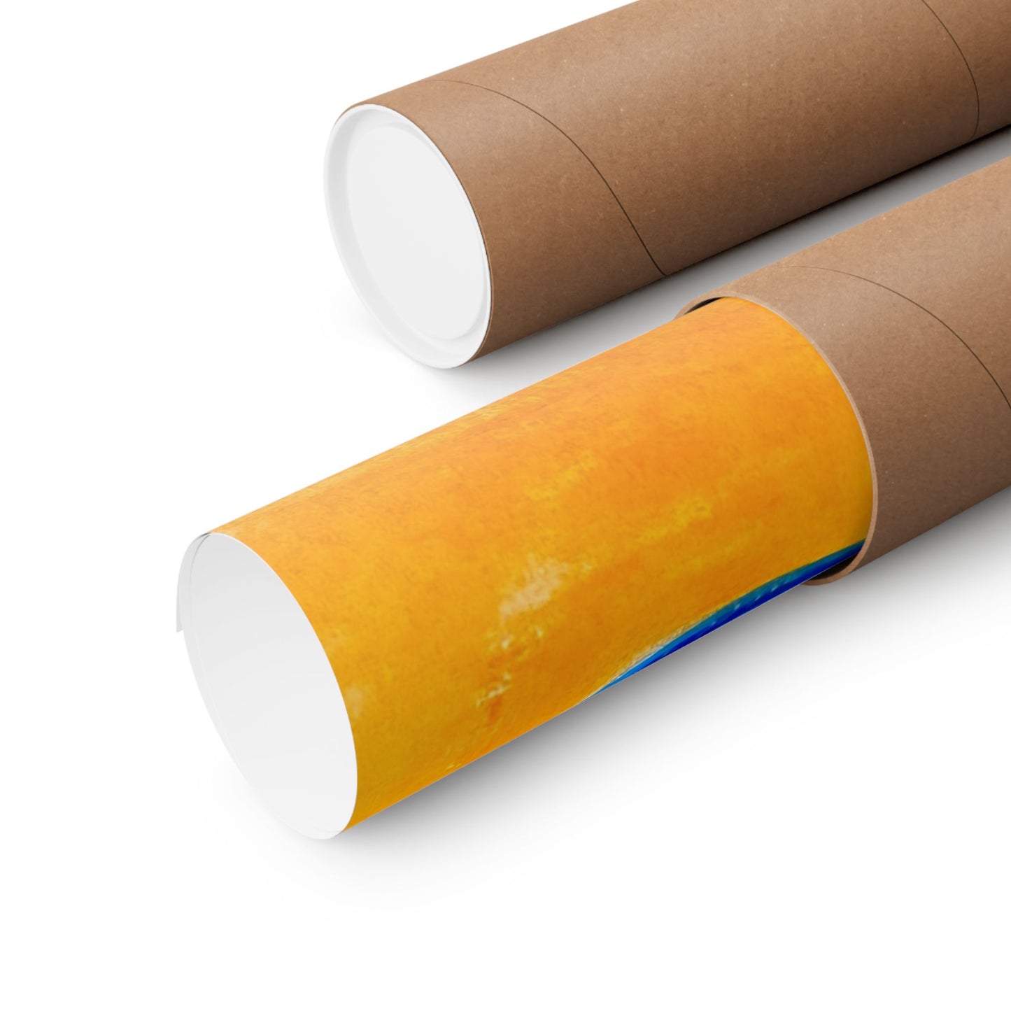 "Fish Duo" Poster Print