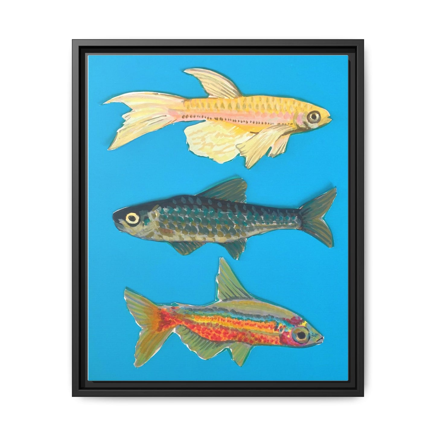 "Fish Trio" Framed Canvas Print