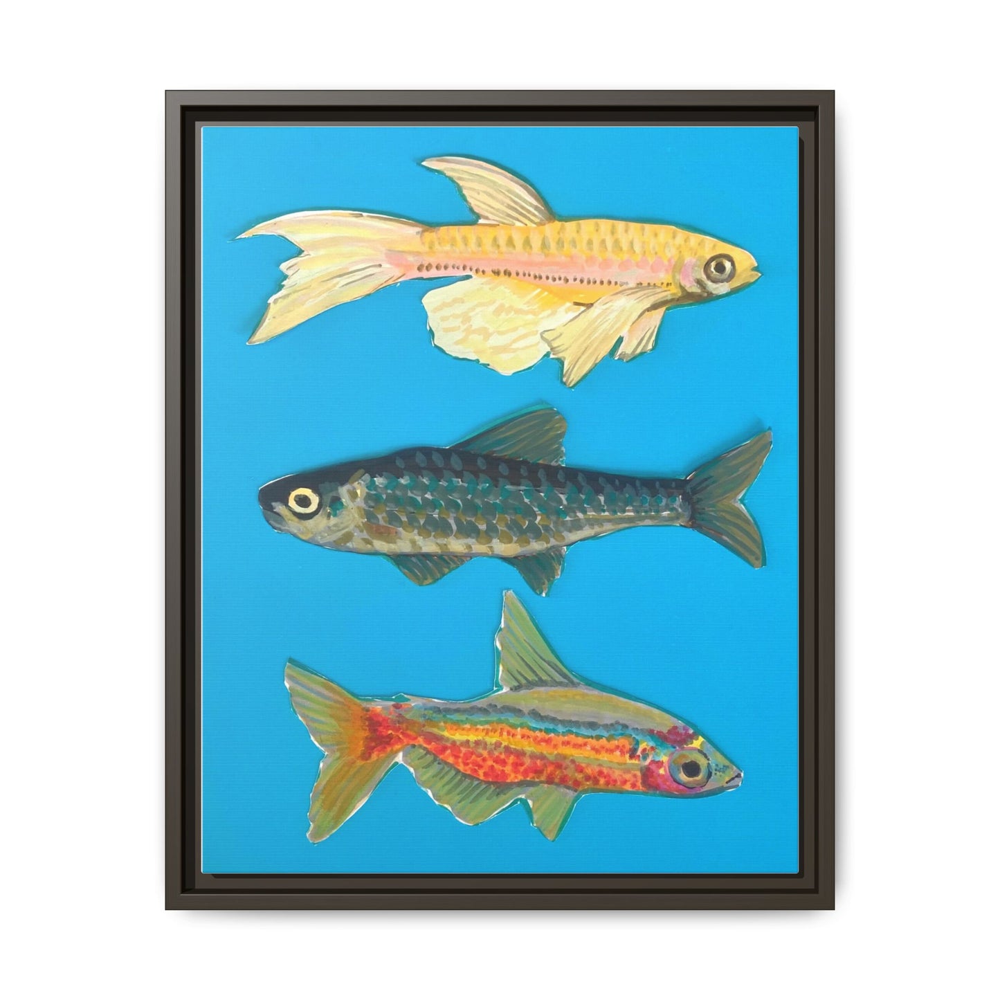 "Fish Trio" Framed Canvas Print