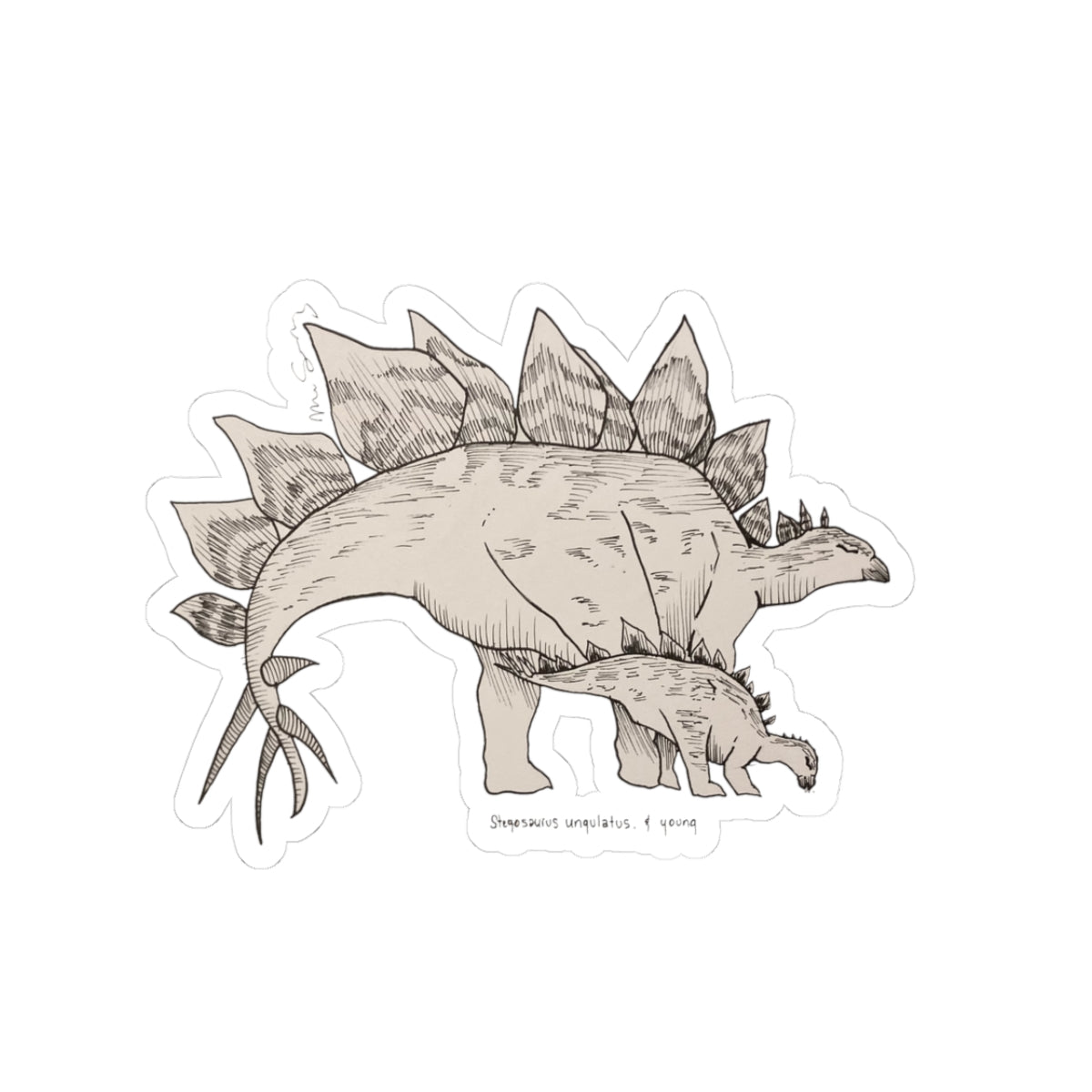 "Stegosaurus Ungulatus & Young" Sticker