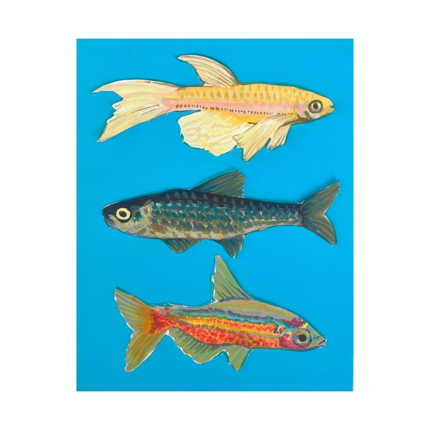"Fish Trio" Poster Print