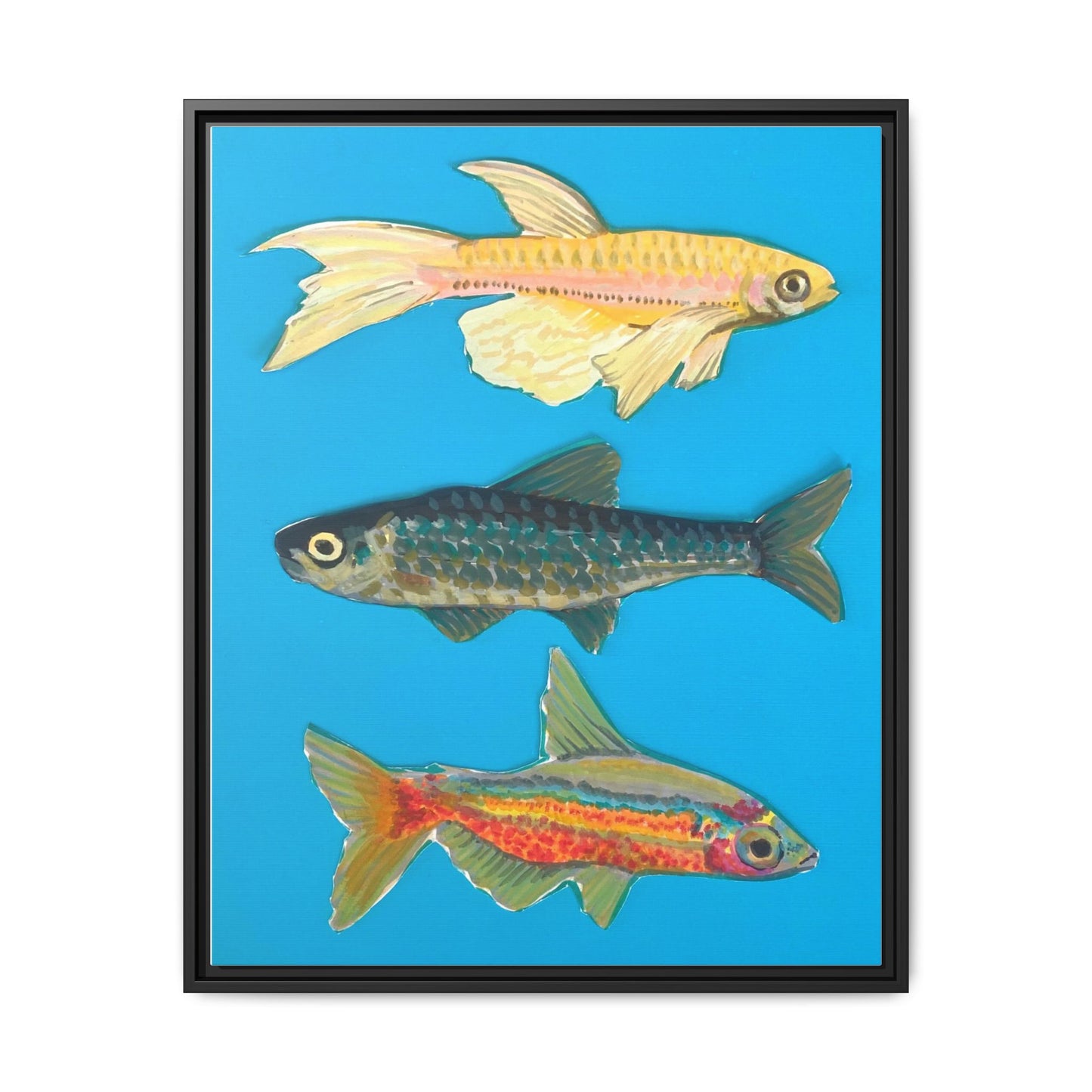 "Fish Trio" Framed Canvas Print