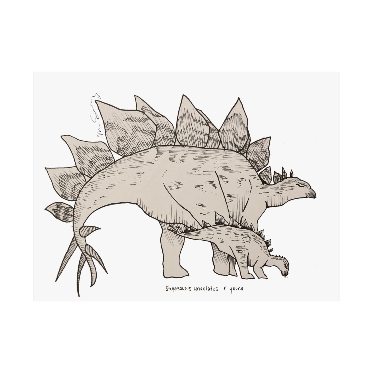 "Stegosaurus Ungulatus & Young" Poster Print