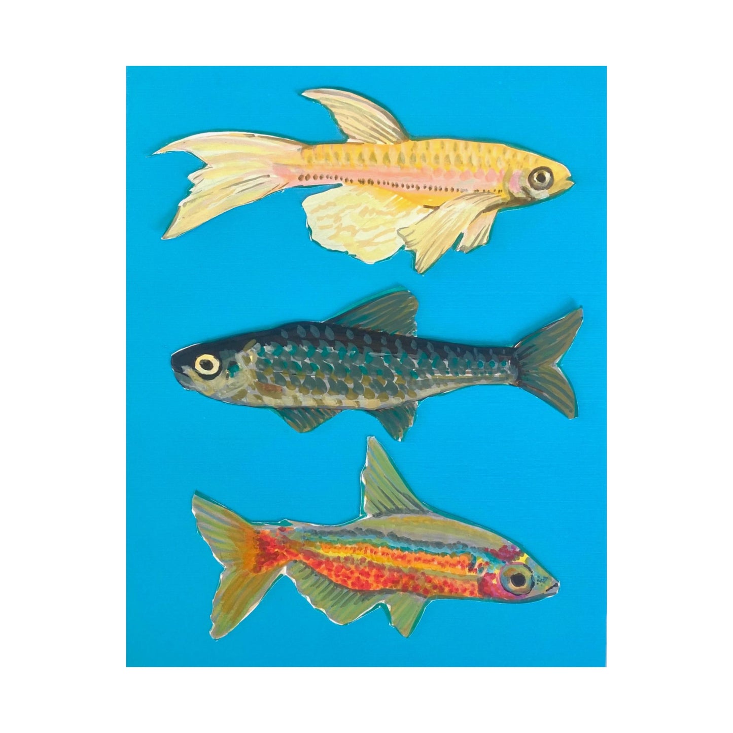 "Fish Trio" Poster Print